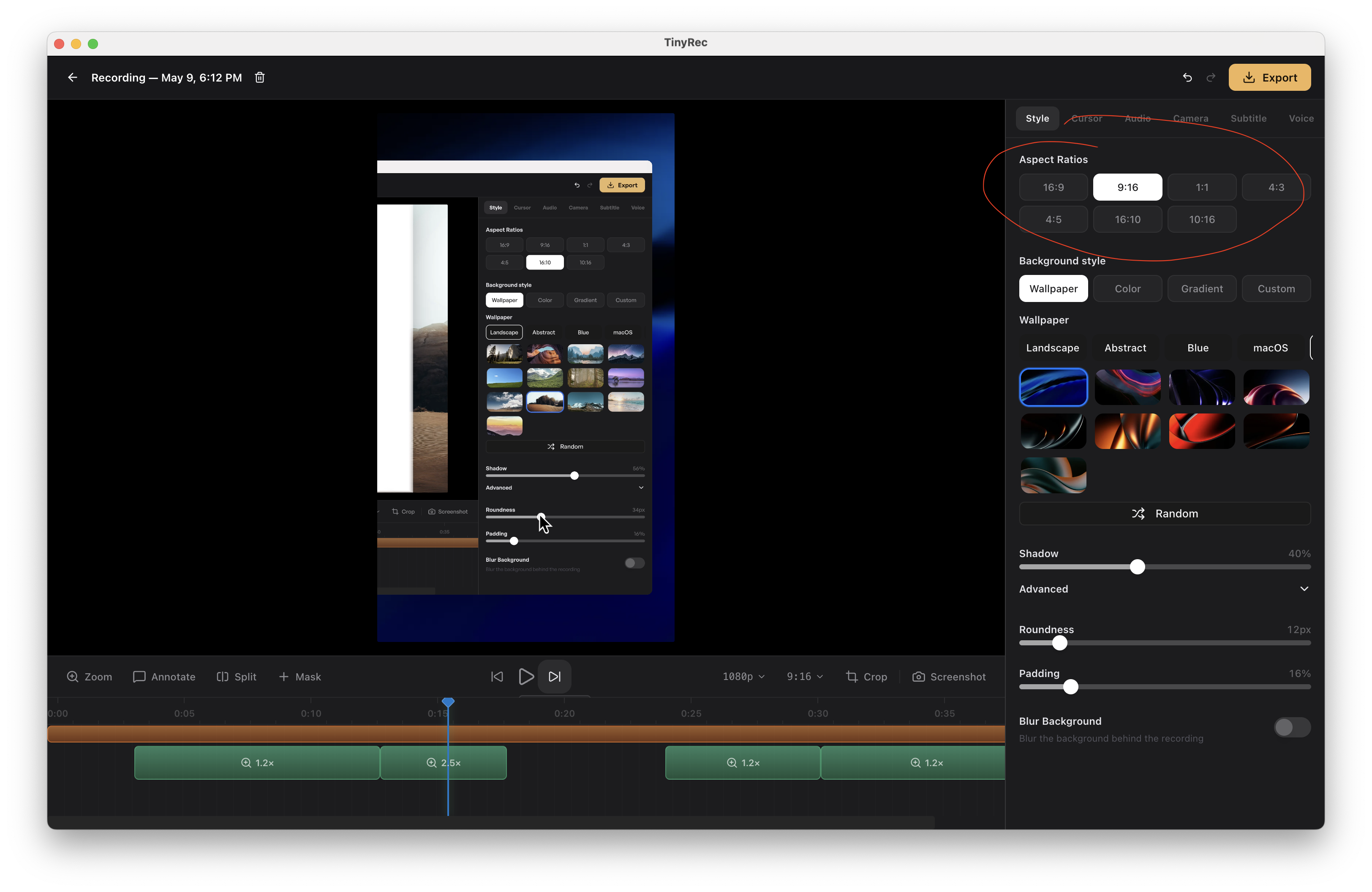 The aspect-ratio picker showing 16:9, 9:16, 1:1 and 4:5 options with the canvas reflowing live