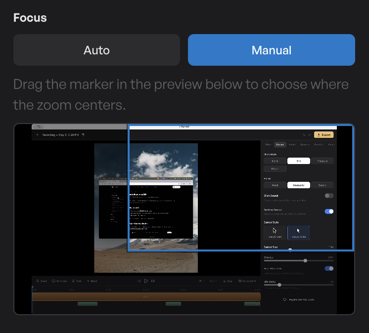 The Animation panel with the Auto / Manual toggle and the focus picker showing a rectangle on the preview