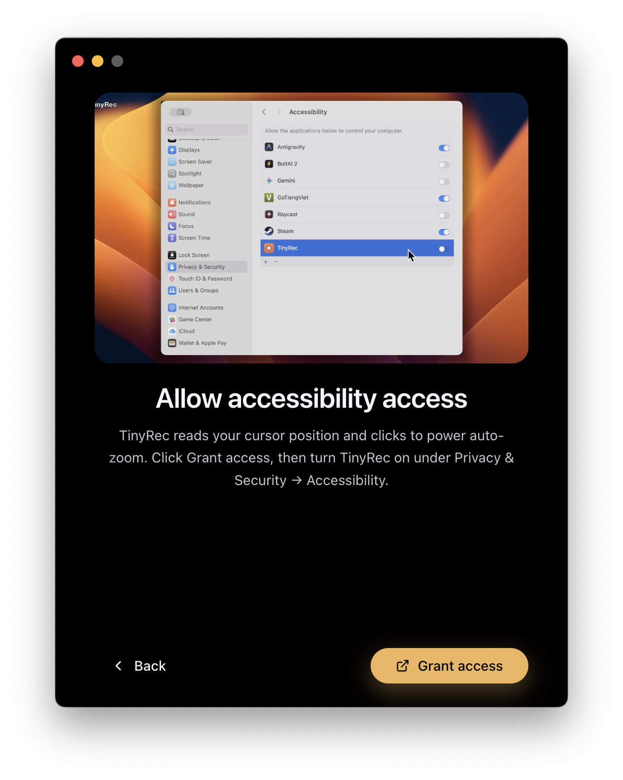 TinyRec onboarding: Accessibility permission step with the autoplaying instruction video and Grant button