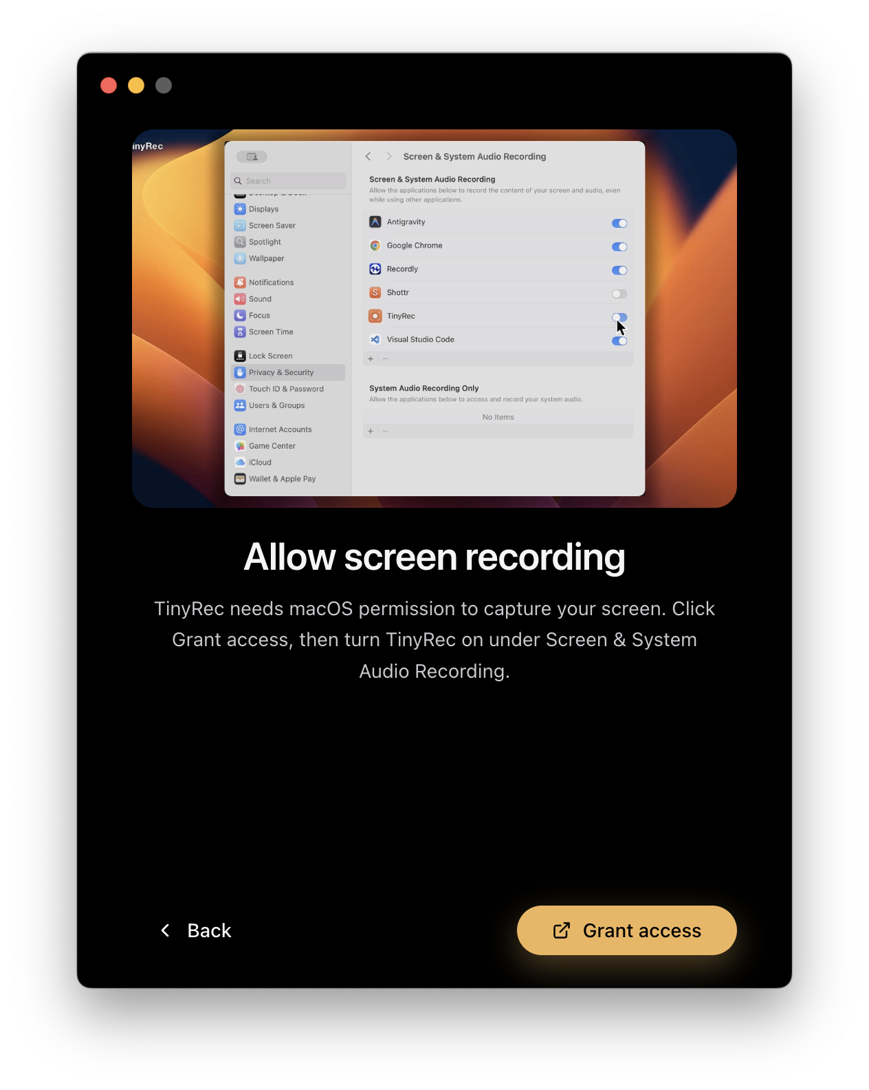 TinyRec onboarding: Screen Recording permission step with the autoplaying instruction video and Grant button